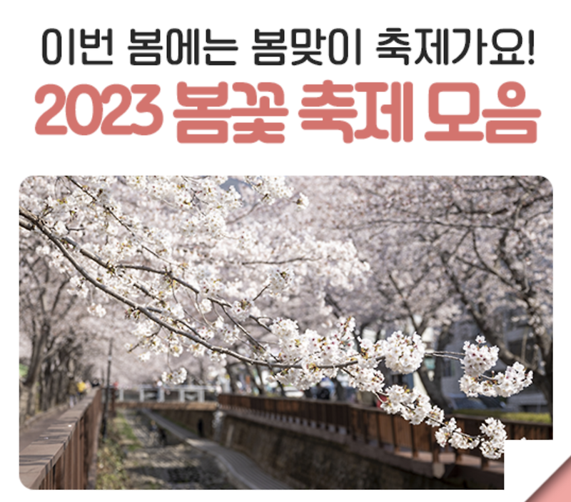 서울시 봄꽃 축제 TOP 2 (여의도 봄꽃 축제, 응봉산 개나리 축제)