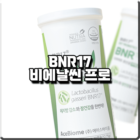 비에날씬 프로 효과 및 성분/먹는법/가격 등 정리 :: 김희선 다이어트 유산균 BNR17