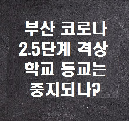 부산 코로나 2.5단계 격상, 학교 등교 중지되나?