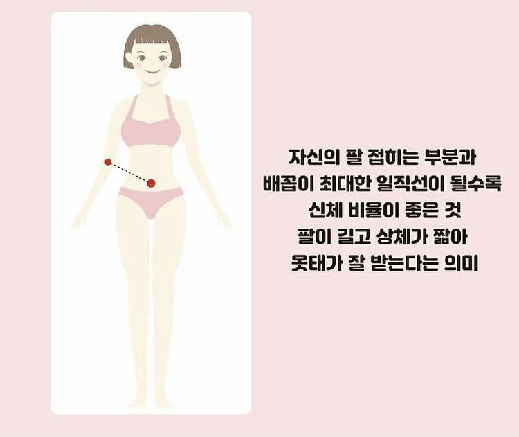 3초만에 본인 비율 확인하는 법