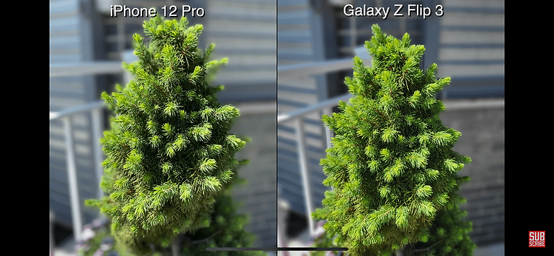 아이폰12 pro vs 갤럭시z 플립3 카메라 비교