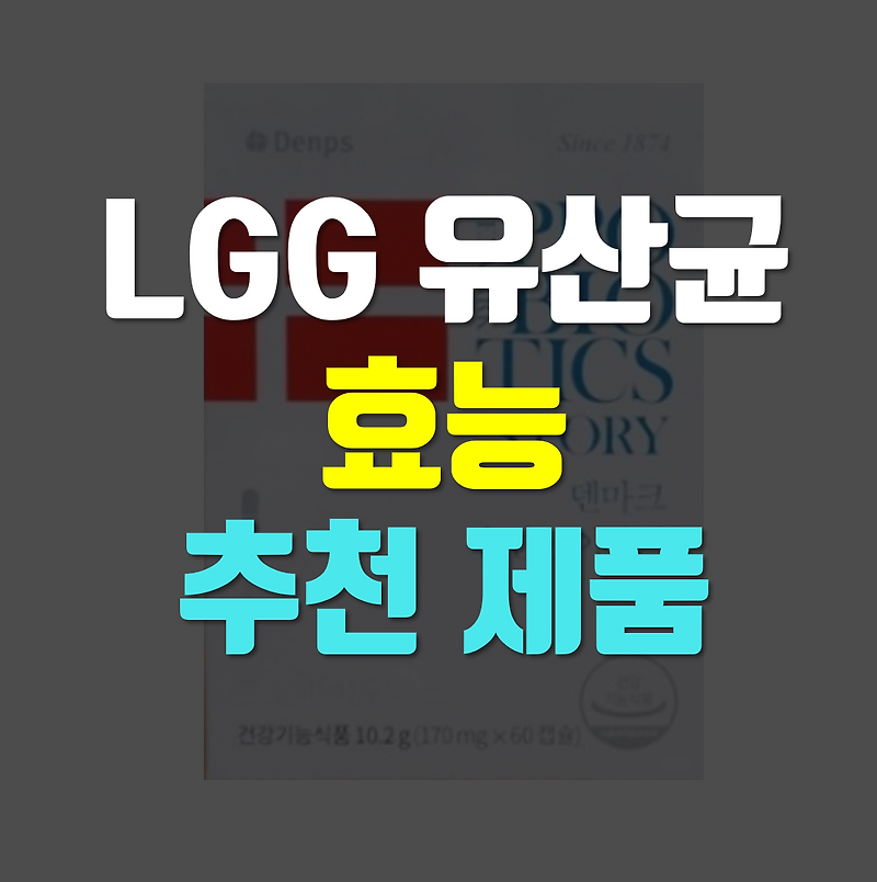 lgg 유산균 효능, 제품, 추천
