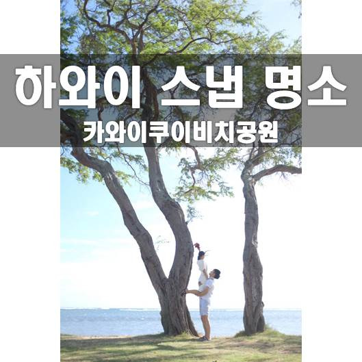 하와이 스냅 명소 (1) : 카와이쿠이비치공원