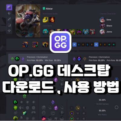 OP.GG 데스크탑 다운로드, 사용방법