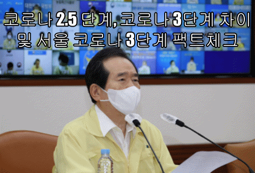 코로나 2.5 단계, 코로나 3단계 차이 및 서울 코로나 3단계 팩트체크