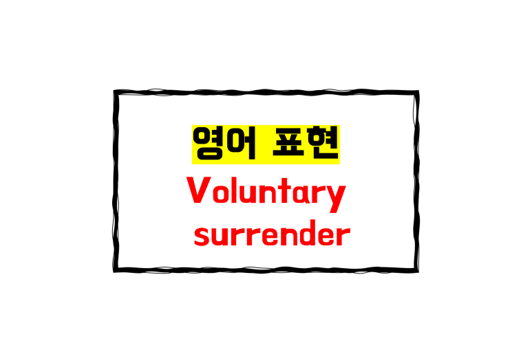 (미국 자동차 영어 표현) voluntary surrender