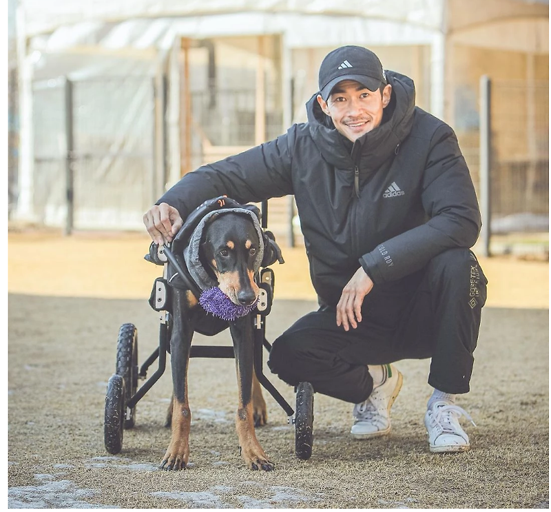 전신마비 배정남 반려견 벨 근황 '걷기 성공'