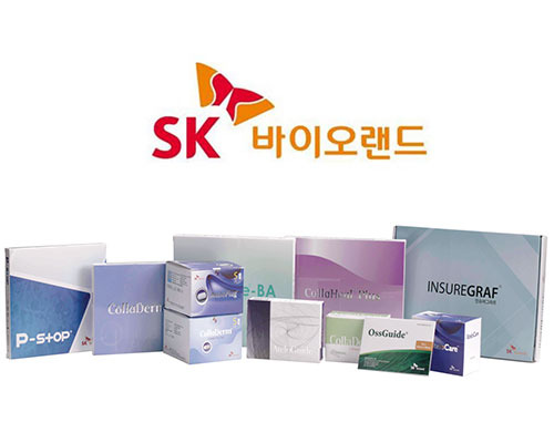 현대바이오랜드 주가 급등 이유