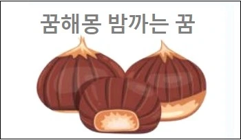 꿈해몽 밤까는 꿈 밤을 먹는 꿈 밤을 많이 줍는 꿈 밤을 따는 꿈 받는 꿈