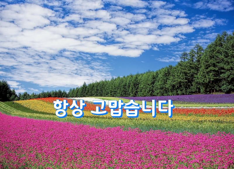 항상 고맙습니다-~