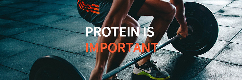 단백질 섭취가 운동 회복에 중요한 이유