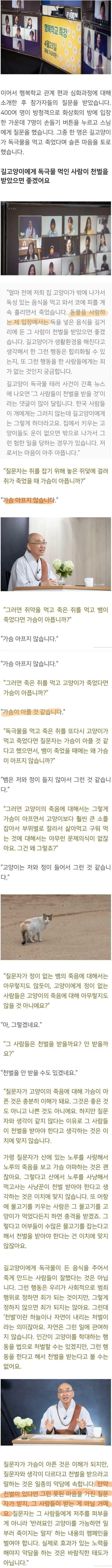 길고양이에게 독금물을 먹인 사람이 천벌을 받았으면 좋겠어요