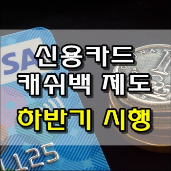 내수 경제를 살리기 위한 신용카드 캐쉬백 제도 시행