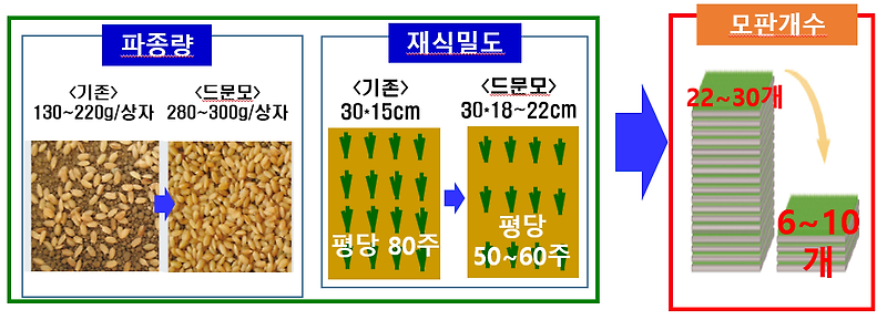 노동력 절감·생산성 높이는 벼 재배 기술 보급에 힘쓰겠습니다.
