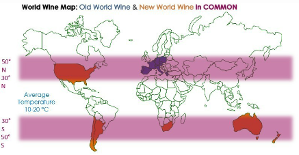 [와인 상식] 와인의 구대륙과 신대륙