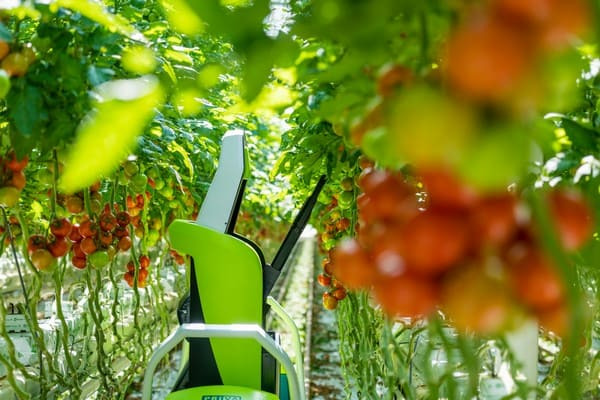 세계 최초 자동 잎 따기 로봇 출시  VIDEO: World’s first leaf-cutting robot