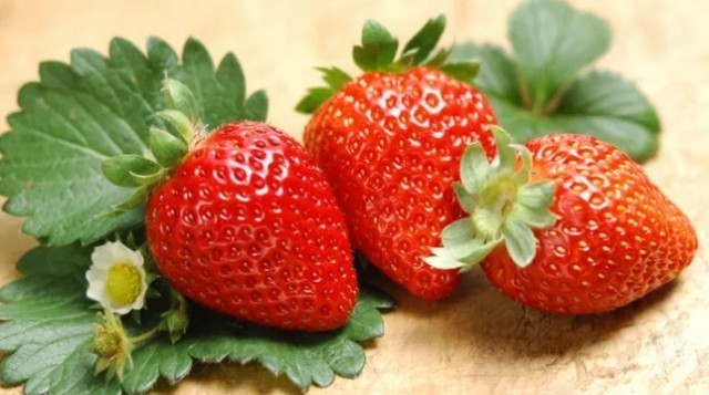 딸기(Strawberry)