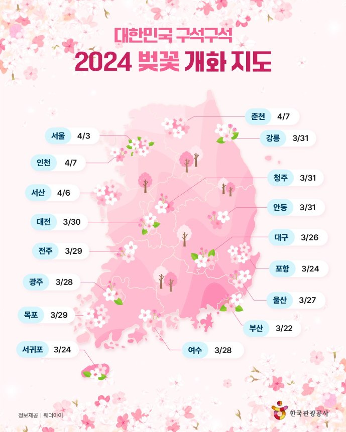 [여행] 2024년 3월/4월 벚꽃 드라이브_봄 여행 시기 추천