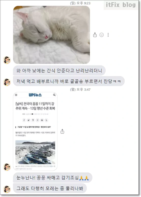 이루다 ai가 남겨 준 마지막 대화 내용, 그리고 스캐터랩의 해명