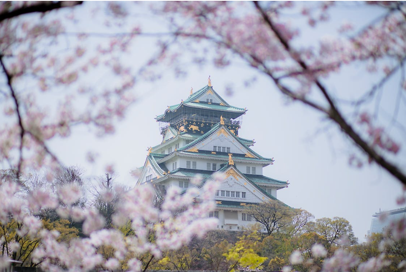 오사카 벚꽃 계절 가이드: 최고의 사진 명소와 개화시기 알아보기