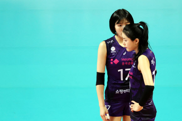 여자배구 학폭 이재영·이다영 지목 