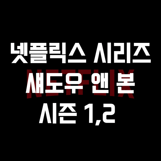 [Netflix] 넷플릭스 드라마, 거대한 장막과 빛의 힘을 가진 마법사 '섀도우 앤 본' 시즌 1,2 (스포 X)