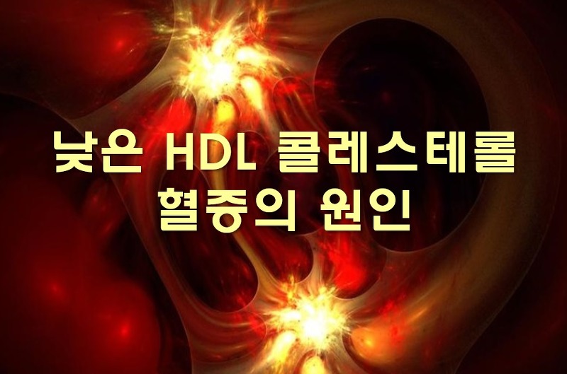 HDL 콜레스테롤 높이는 방법 낮은 HDL 콜레스테롤 혈증의 원인