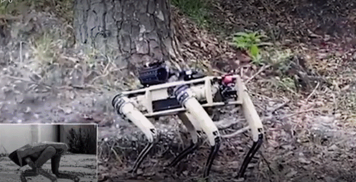 SF 영화 같은 저격총 무장 로봇 개...원격으로 소총 장전 발사 VIDEO:Terrifying four-legged bot with a 6.5mm SNIPER RIFLE on its back...