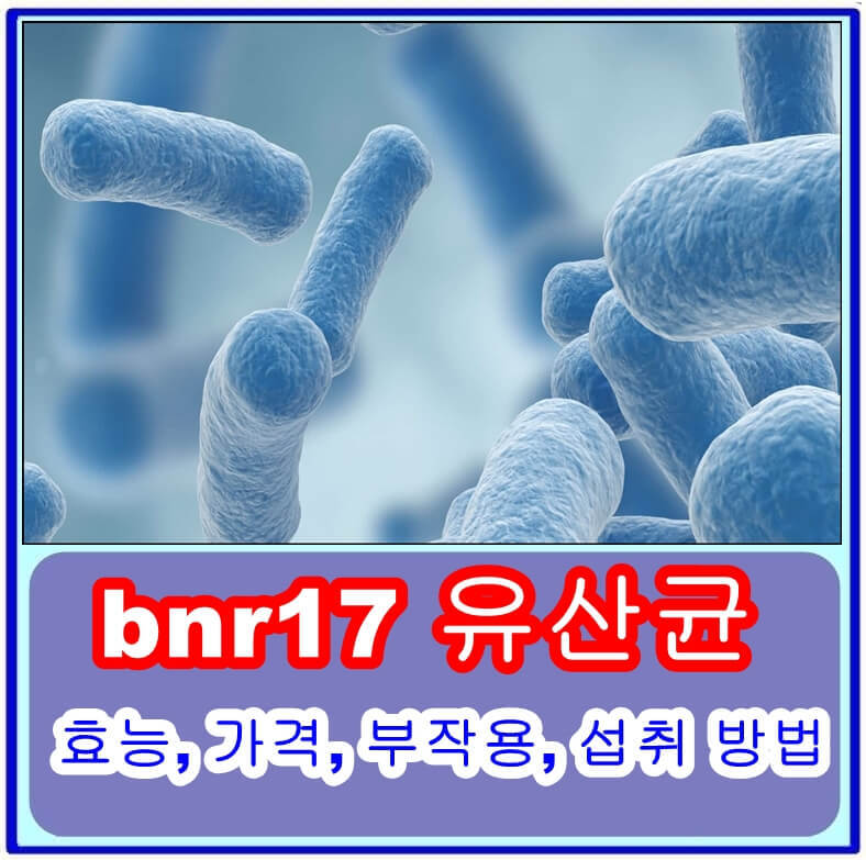 bnr17 유산균, 체지방 감소의 비결은? 효능, 가격, 부작용, 섭취 방법 총정리