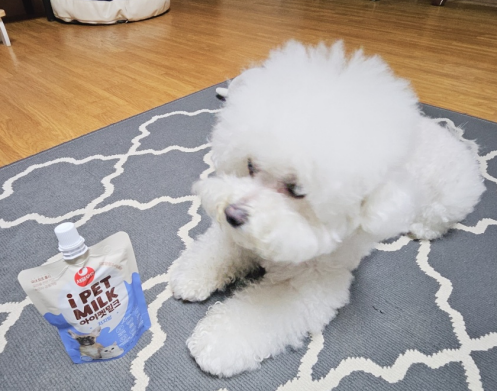 강아지 간식 - 우유 아이펫밀크