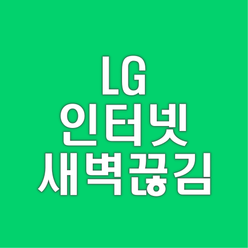 LG 인터넷 새벽 끊김 원인 해결방안