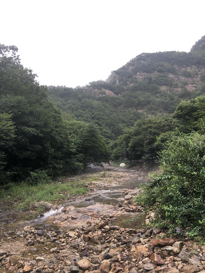 여름휴가 솔뫼캠핑장