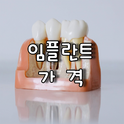 결손 치아를 자연스럽게 임플란트 종류 및 수술 가격