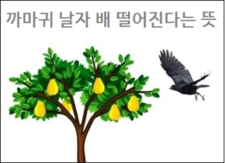 까마귀 날자 배 떨어진다는 뜻