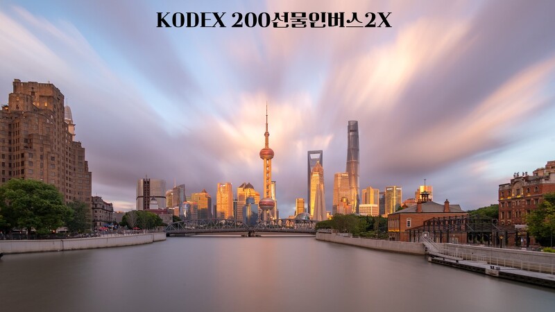 KODEX 200선물인버스2X/252670