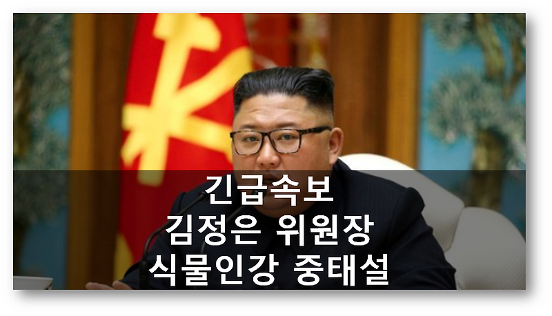 [뉴스속보]김정은 식물인간 상태 중태설