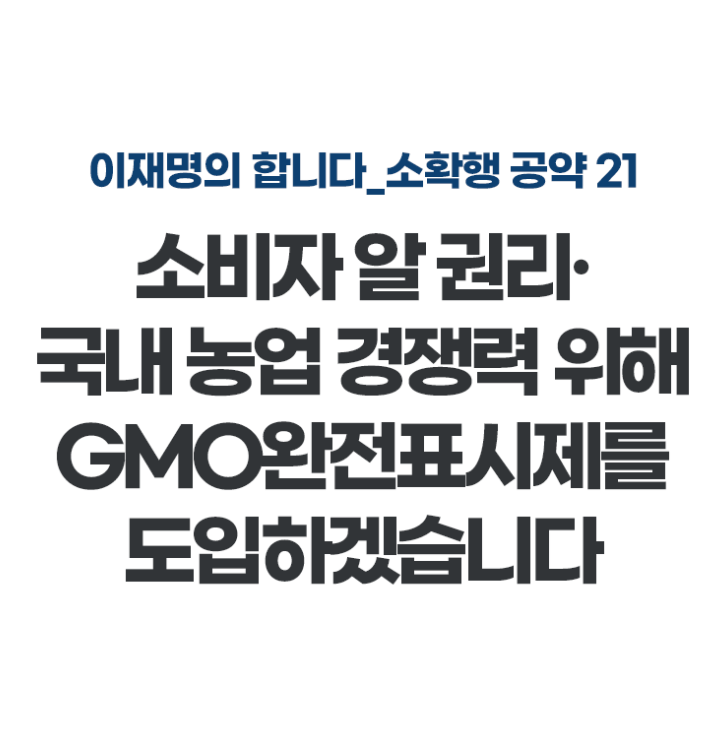 대통령 선거 이재명 후보의 공약 5