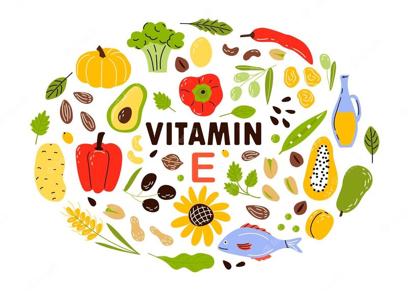 이제부터 영양제 알고먹자! ⑦ 비타민E 항산화 영양제 2탄