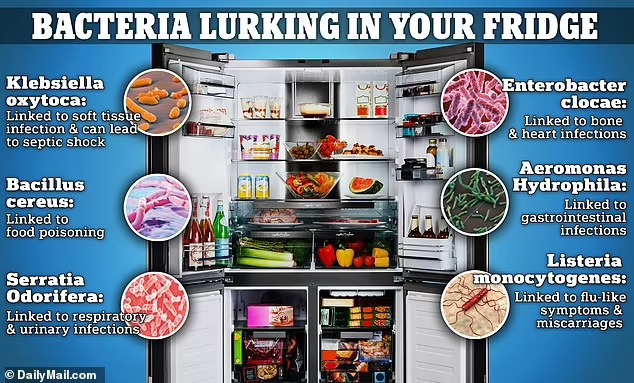 [봄맞이 대청소] 박테리아 바글바글 냉장고...음식은 이렇게 보관해야 More than 1.8 MILLION bacteria linked to miscarriages and respiratory infections may be lurking in your fridge