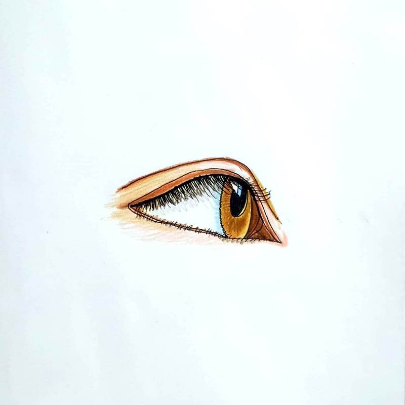 Brown Eye 일러스트 일러스트레이션 그림 드로잉 펜화 색연필화 그리기 갈색 눈 눈동자