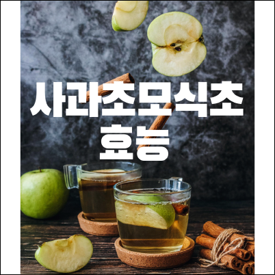 사과초모식초 효능