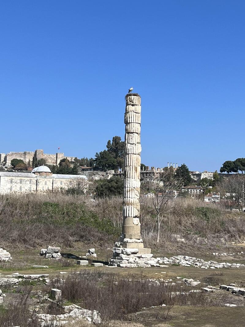[셀축] 텅빈 기둥만 남은 아르테미스 신전 터, 성 요한 교회