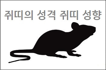 쥐띠의 성격 쥐띠 성향