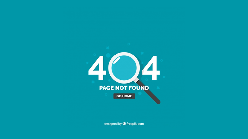 [Node.js] 에러처리 (Page Not Found)
