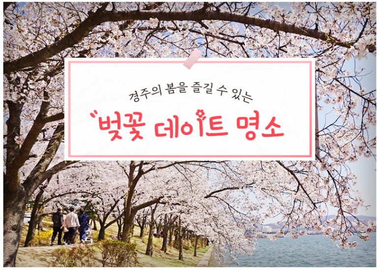 경주의 봄을 즐길 수 있는 벚꽃 데이트 명소