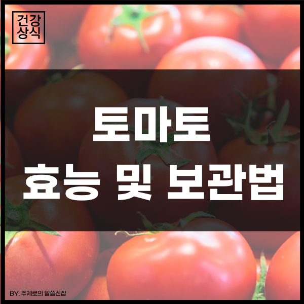 슈퍼 건강식품인 토마토의 효능 및 보관법