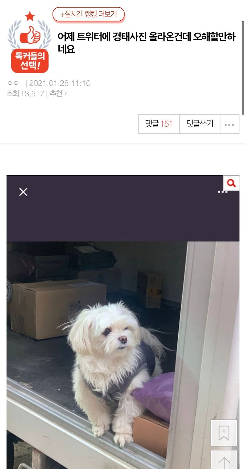 [네이트판] 어제 트위터에 경태사진 올라온건데 오해할만하네요