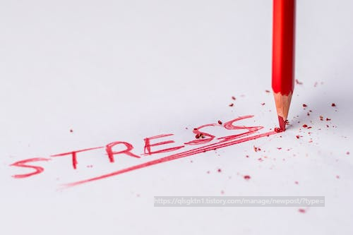 스트레스의 정복자: 자기 조절과 긍정적 생각의 비밀