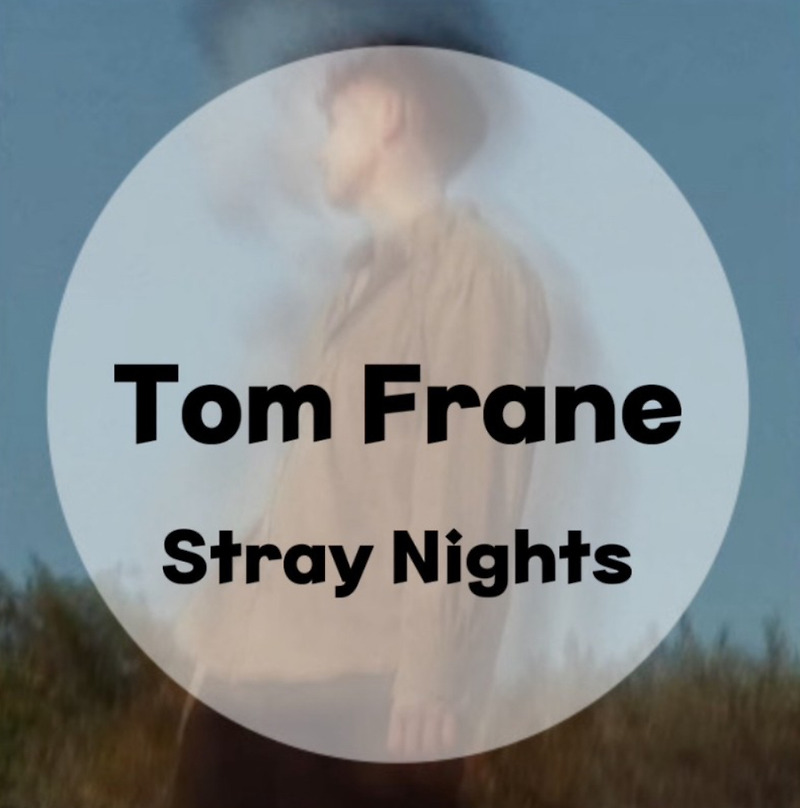 : Tom Frane : Stray Nights (가사/듣기/Lyric Video)