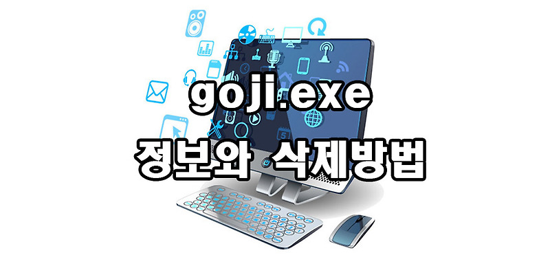 goji.exe 정보와 삭제 방법
